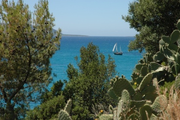 Φοινικούντα