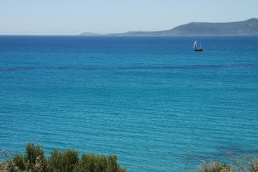 Φοινικούντα